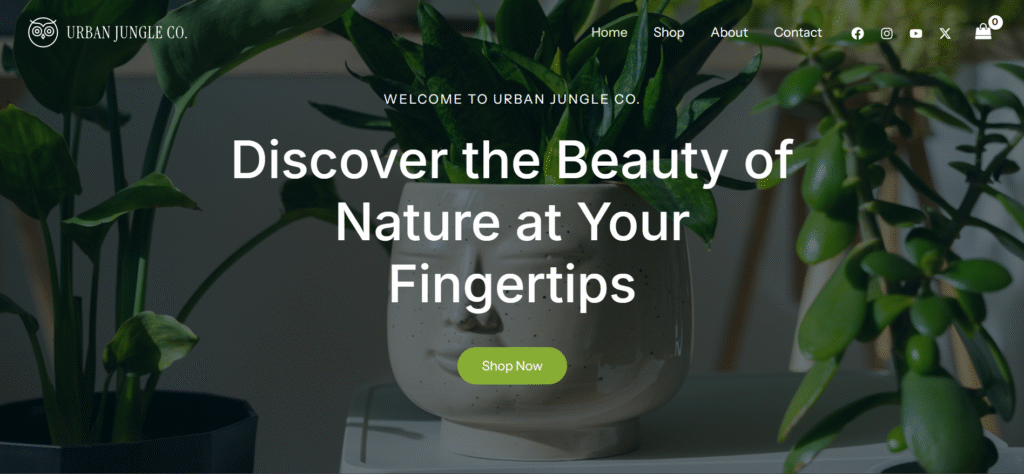 Screenshot 2025-06-13 193343